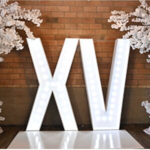XV