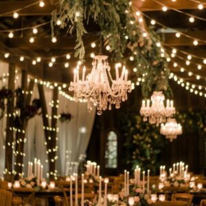 Ceiling light bulbs 