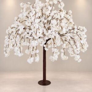 White Drooping Branch Trees