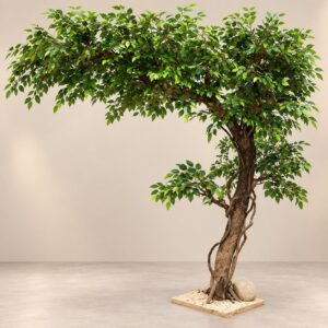 Green Curved Top Tree